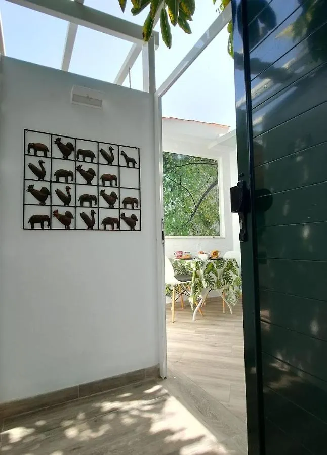 شقة Casa Maga ماسبالوماس